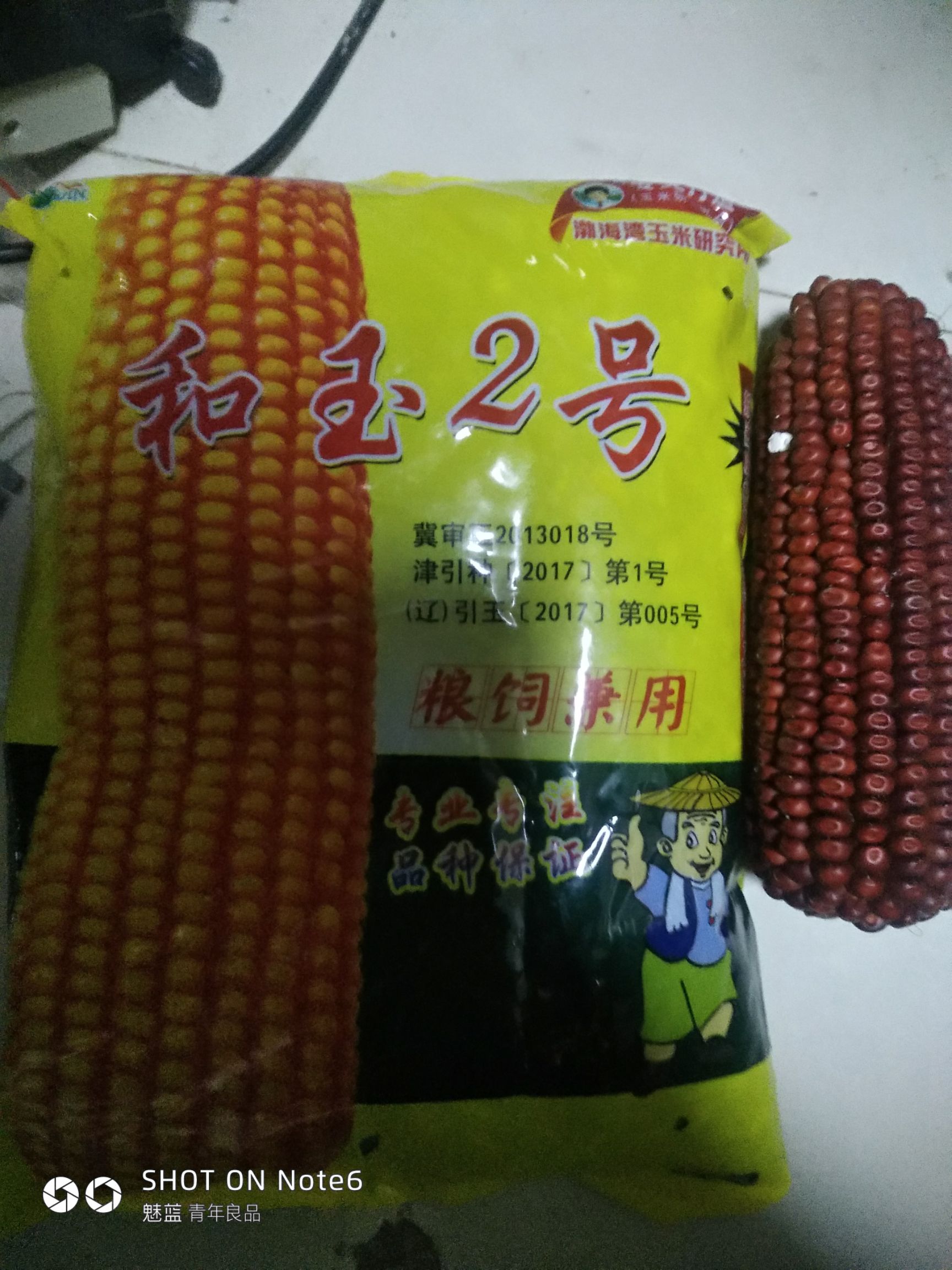 沃玉3号玉米种子 锦玉30 抗病抗旱耐涝 耐高温 抗倒伏 谁种谁发家的好