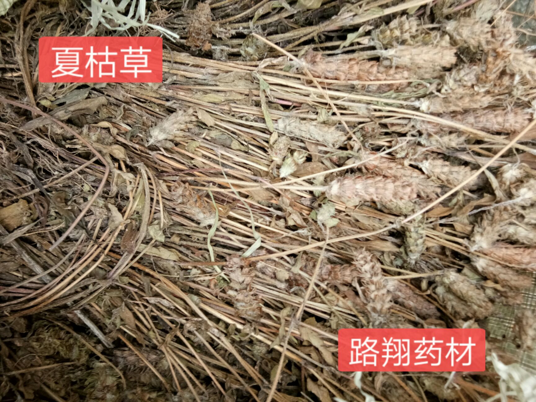 夏枯草 带球 色好 量大从优