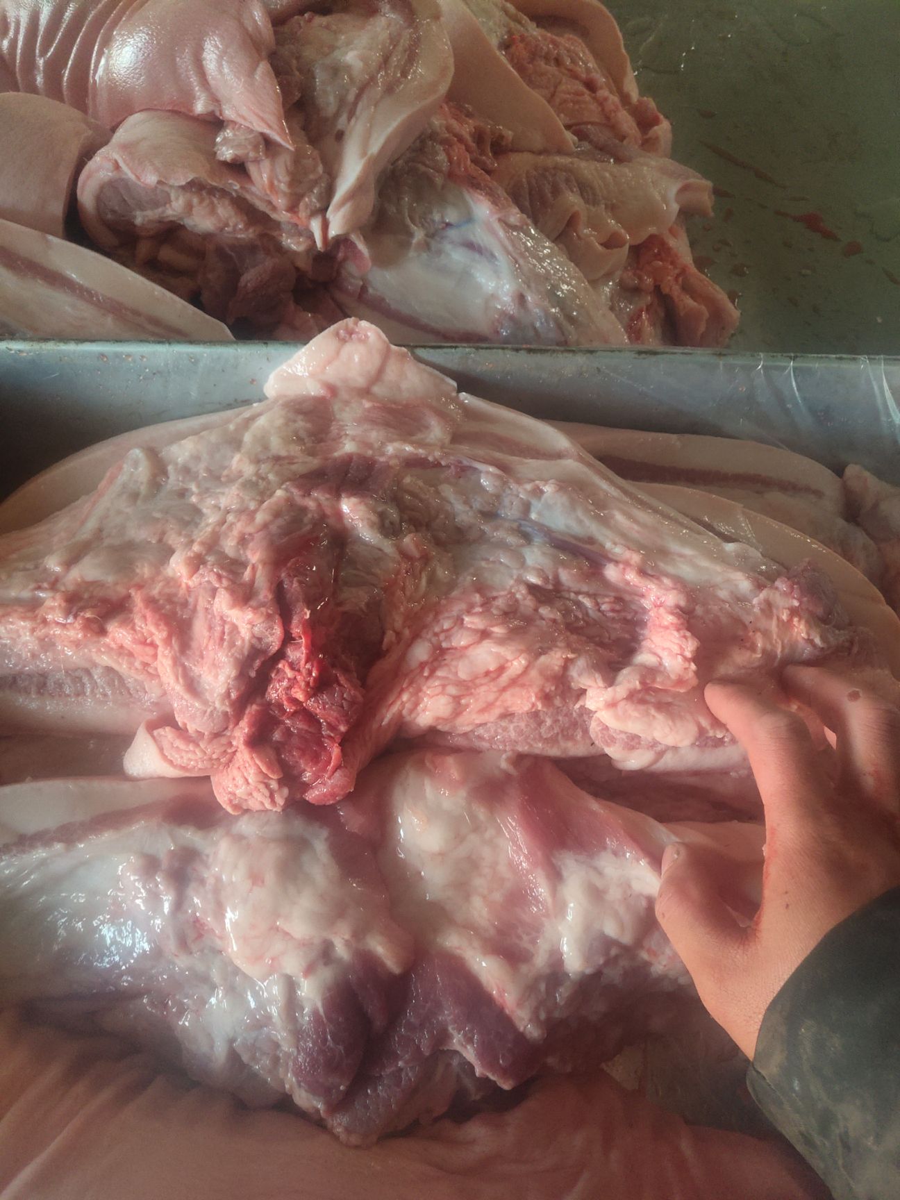 猪槽头肉 脖子肉15吨,价格不高,有意者联市场,不是标准件