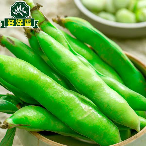 四川胡豆角!蚕豆现摘鲜货!基地直销!一手货源