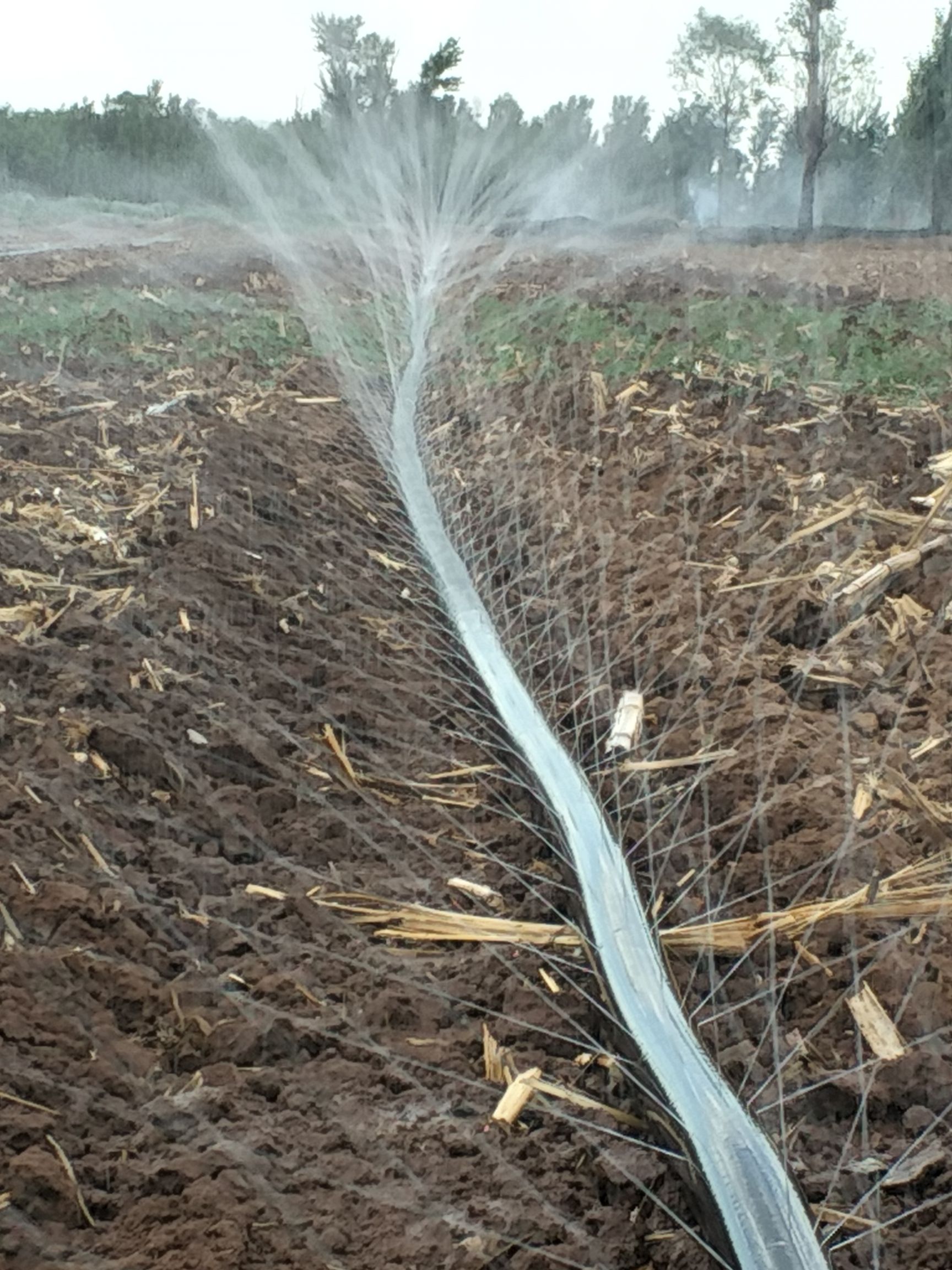 农用滴灌带微喷带喷灌带软管雾管浇地水管带大棚果园园林灌溉设备