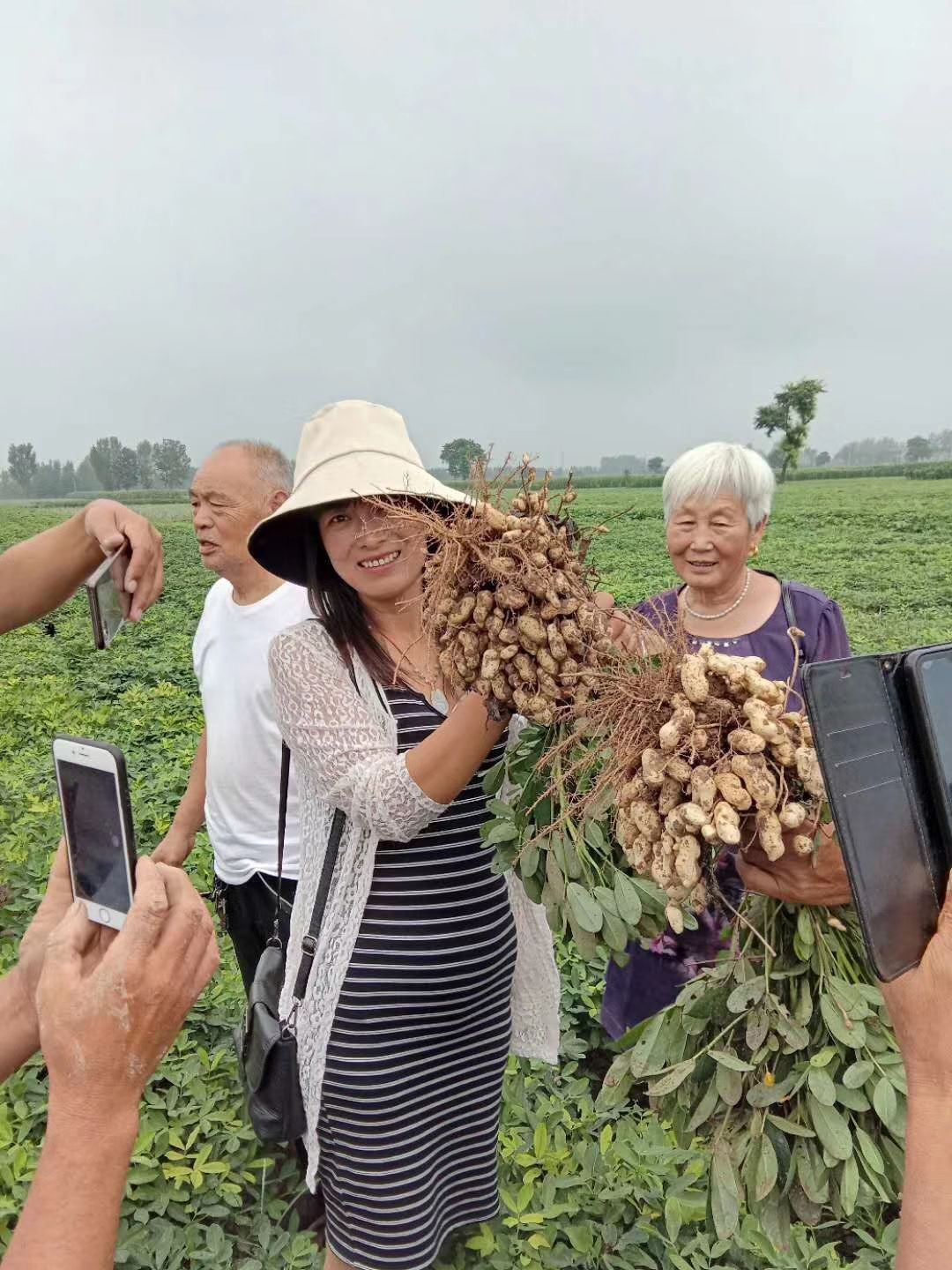 河南省商丘市民权县益花1号花生种子 益花1号