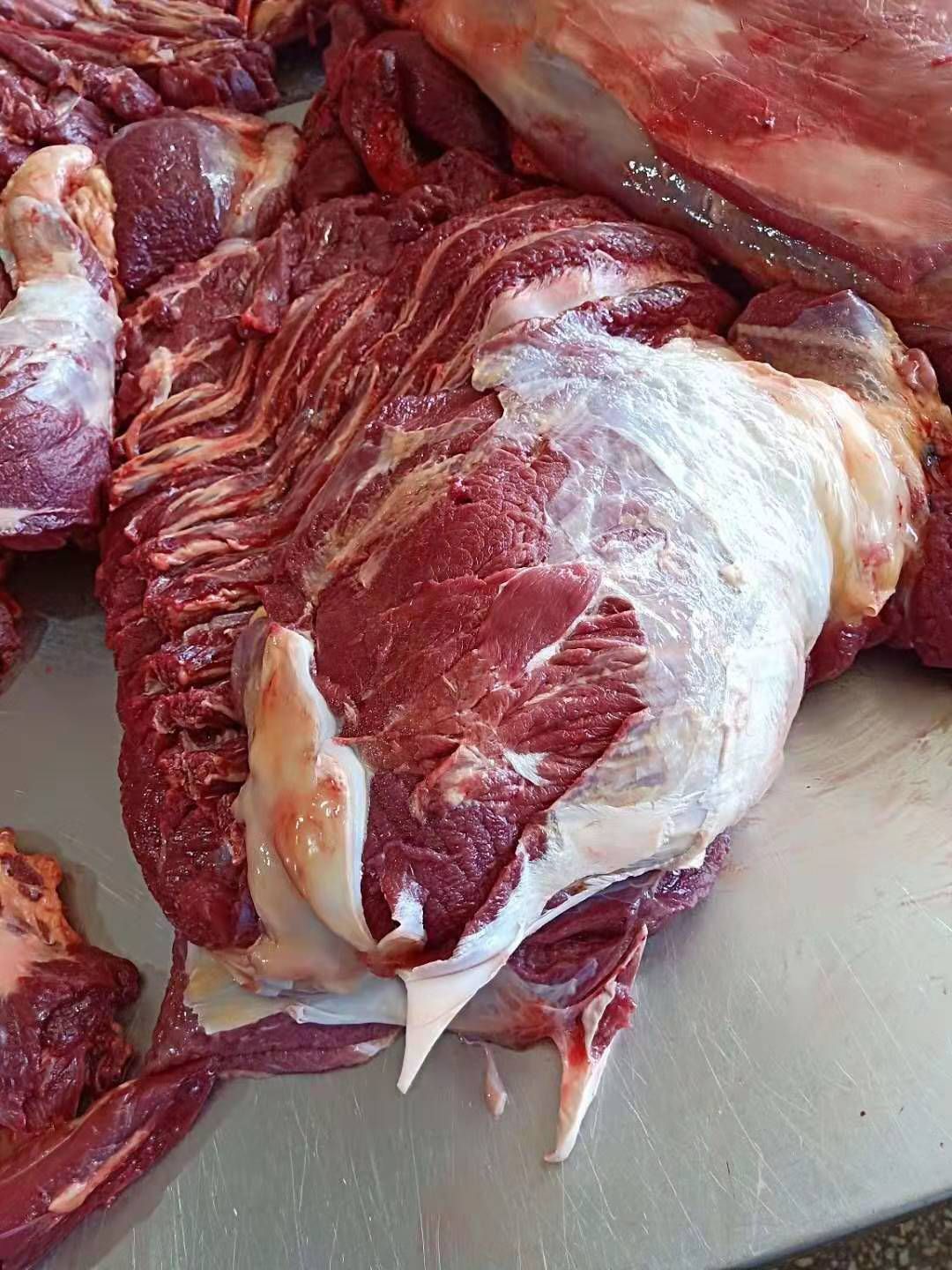 蒙古进口马肉 前腿肉