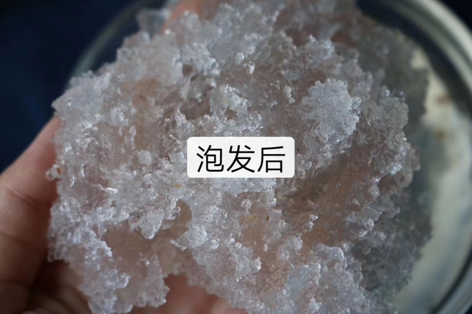 缅甸精品拉丝雪燕 泡发后颜色白净口感丝滑 性价比非常高