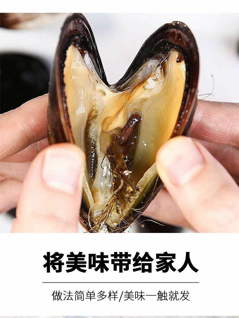 【顺丰包邮】海虹鲜活青口贝水产淡菜海鲜水产5斤青口贝