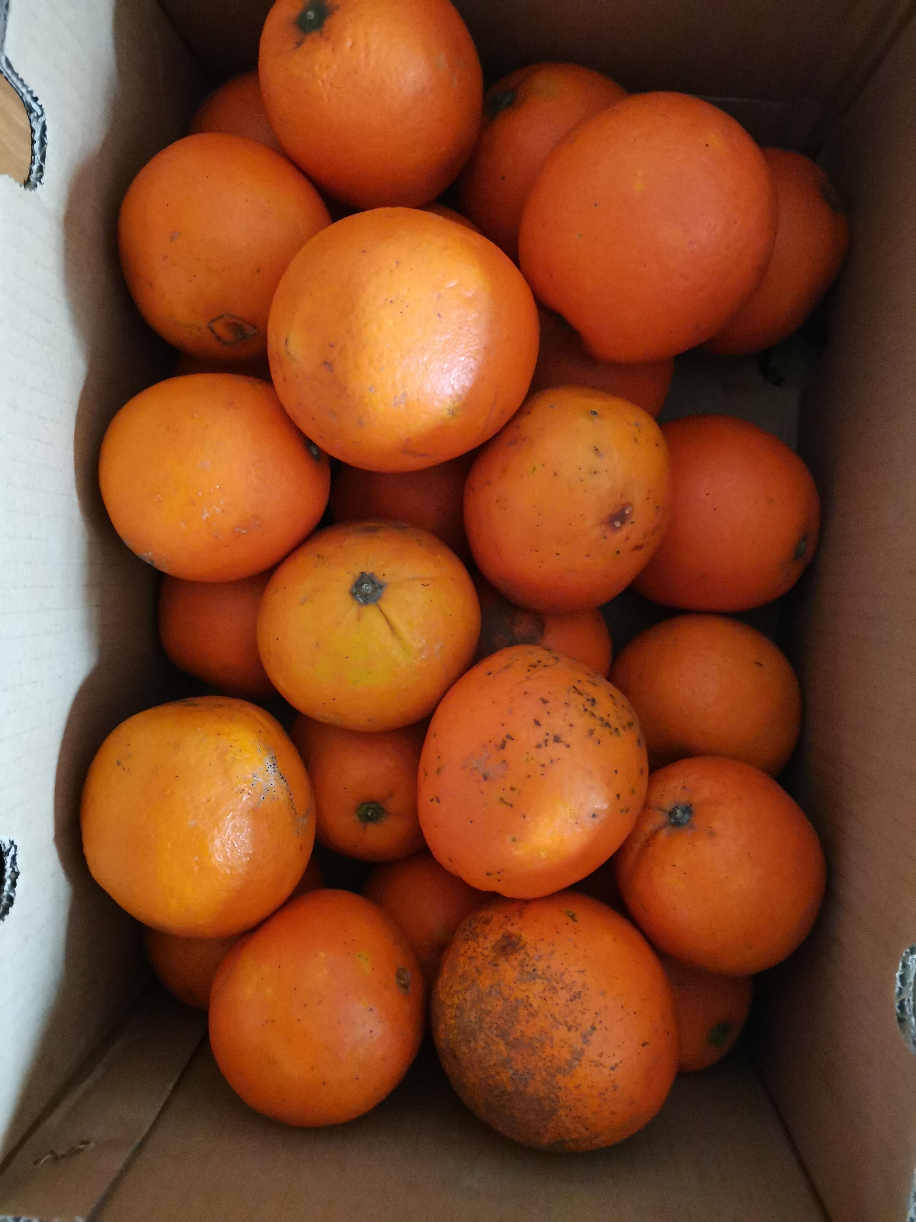 4K橙子橙子水果产品超清视频实拍素材_视频素材包下载(编号:3452403)_实拍视频_VJ师网 www.vjshi.com