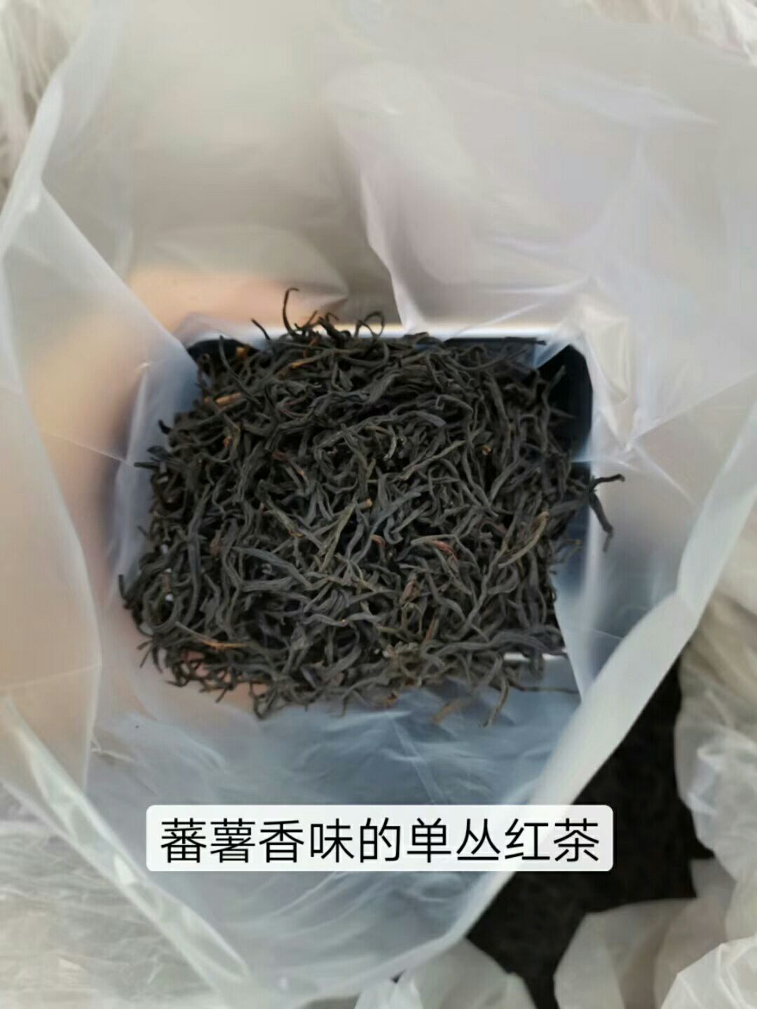 凤凰水仙茶 凤凰红茶