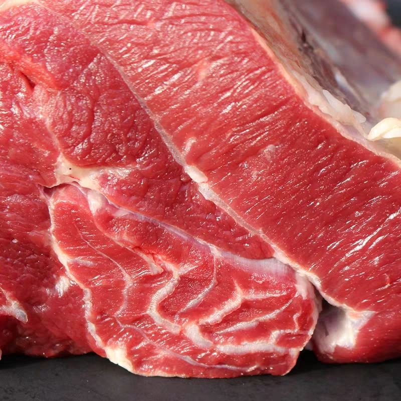 牛肉一手货源牛前驱牛后驱通货