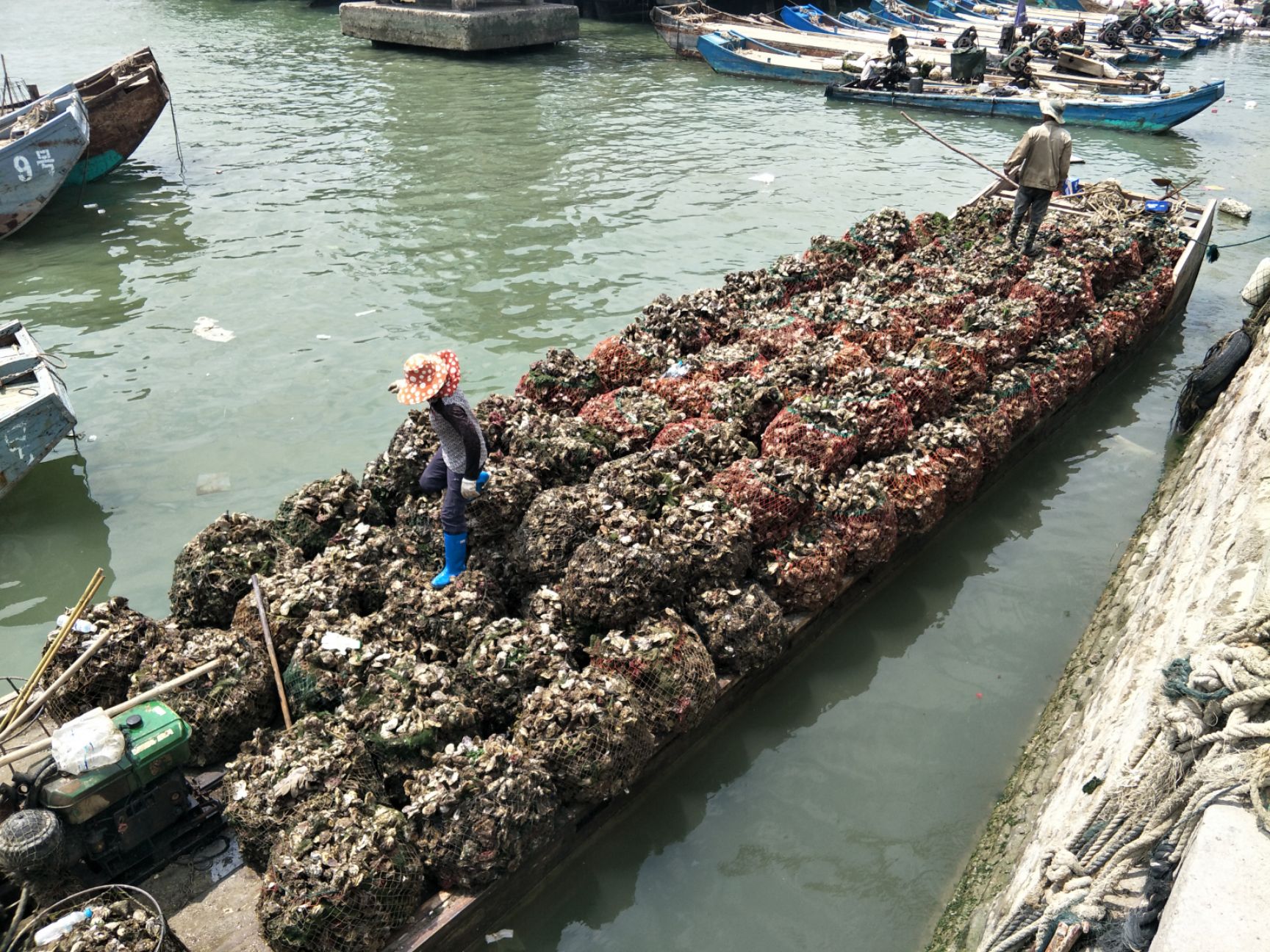 福建生蚝 网红蚝 深海蚝 清蒸生蚝 一口蚝 小包装