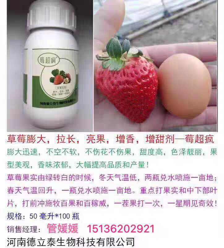 叶面肥料 草莓专用膨大剂