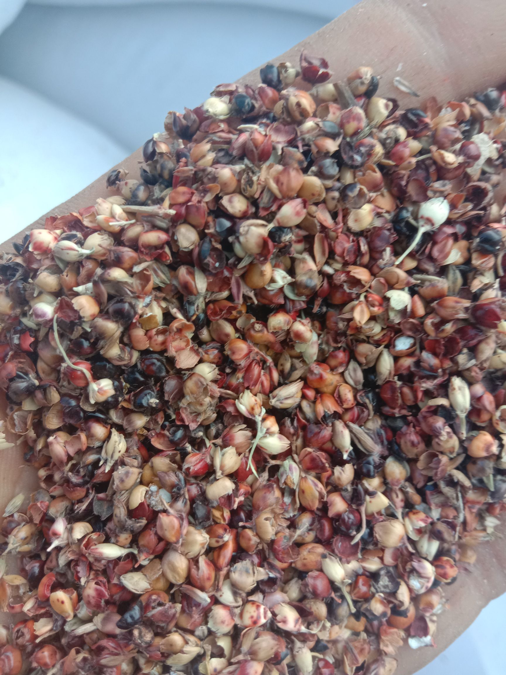 高粱壳 香包,坐垫填充物,酒厂辅料