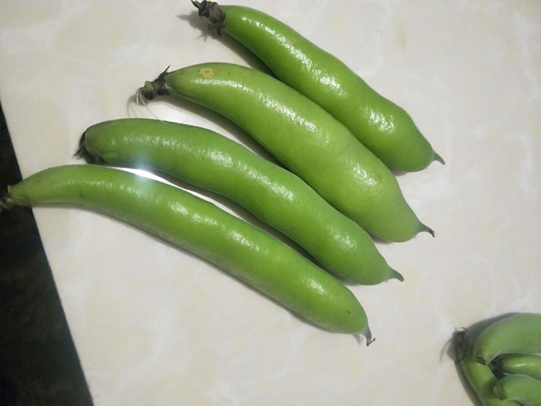 四川胡豆角!蚕豆现摘鲜货!基地直销!一手货源