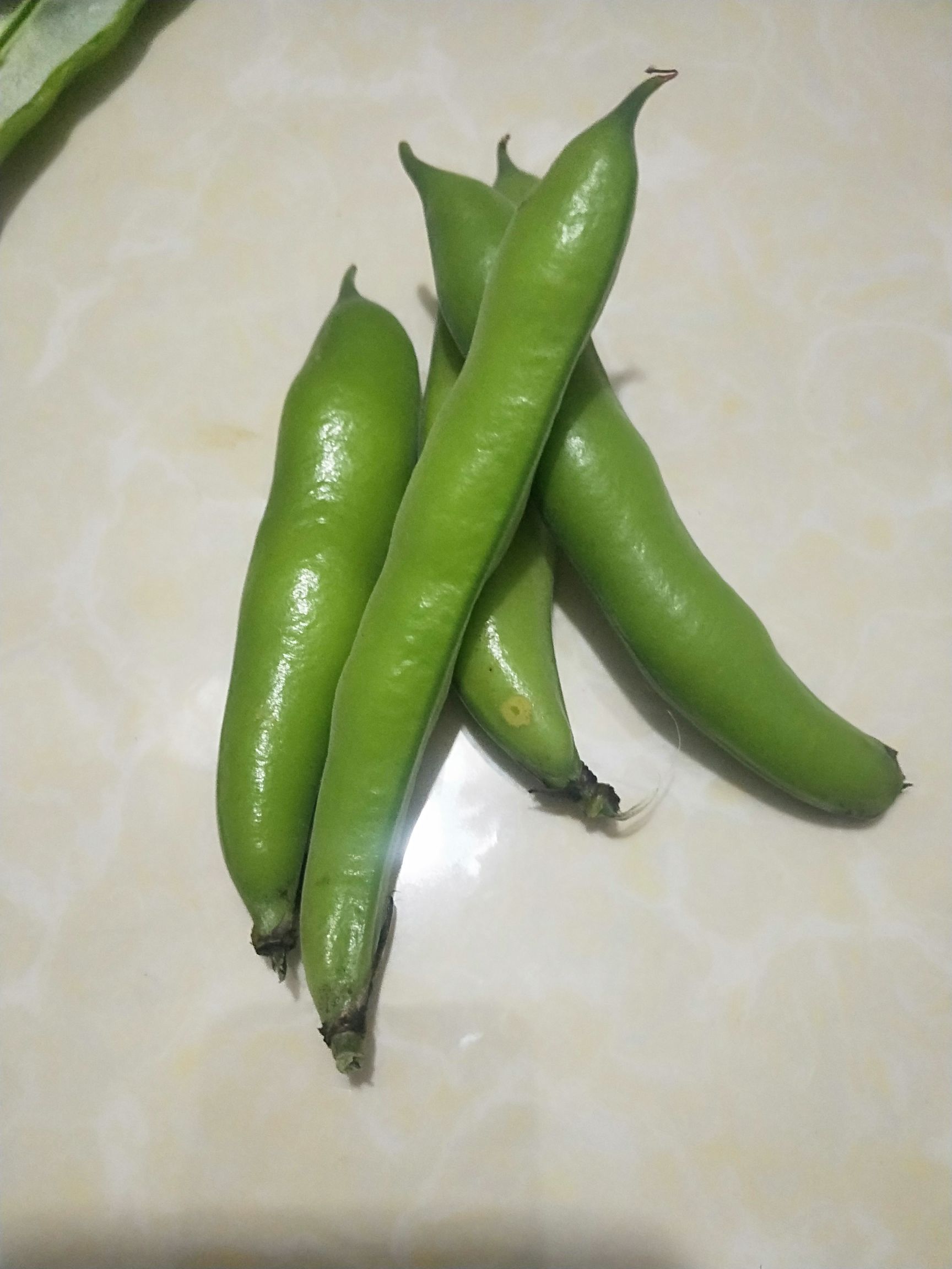 四川胡豆角!蚕豆现摘鲜货!基地直销!一手货源