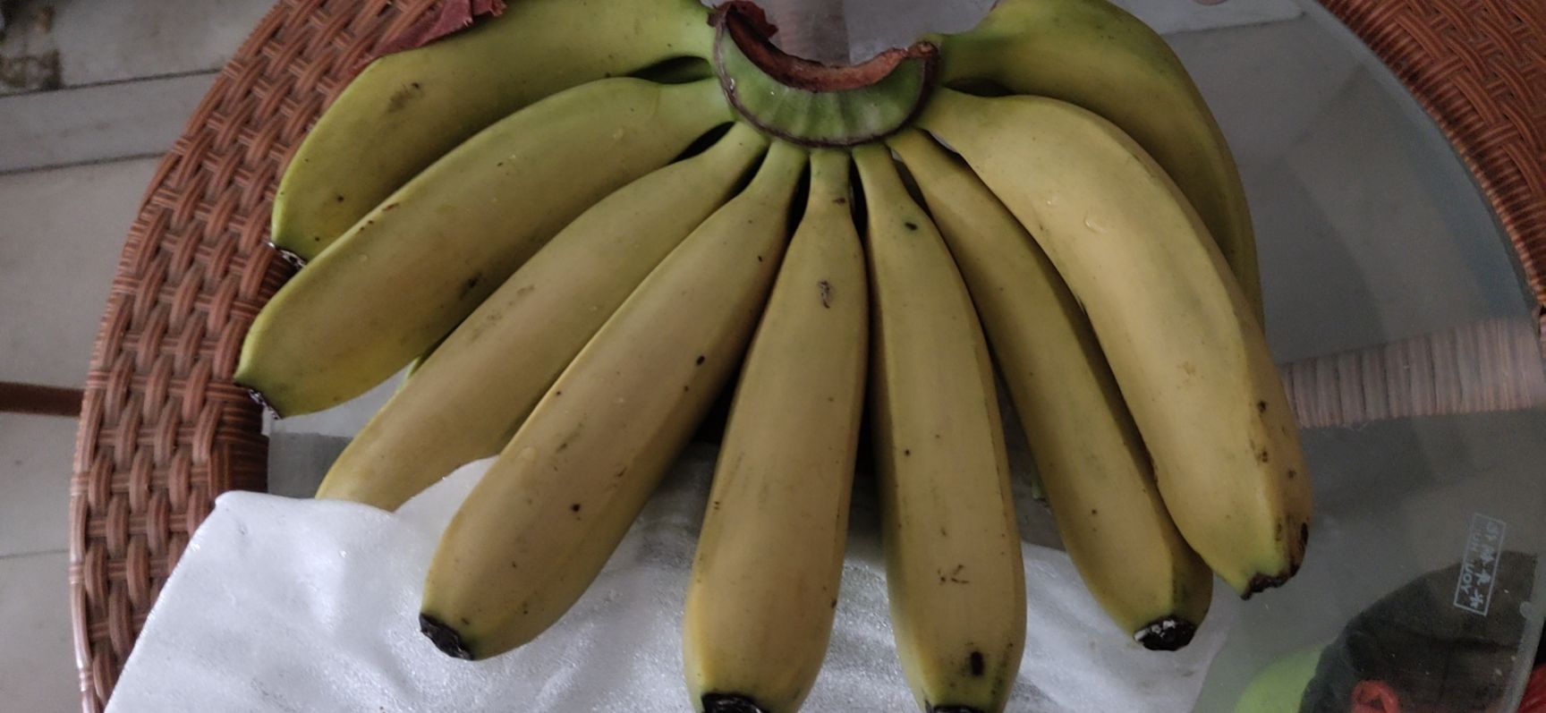 广东香蕉
