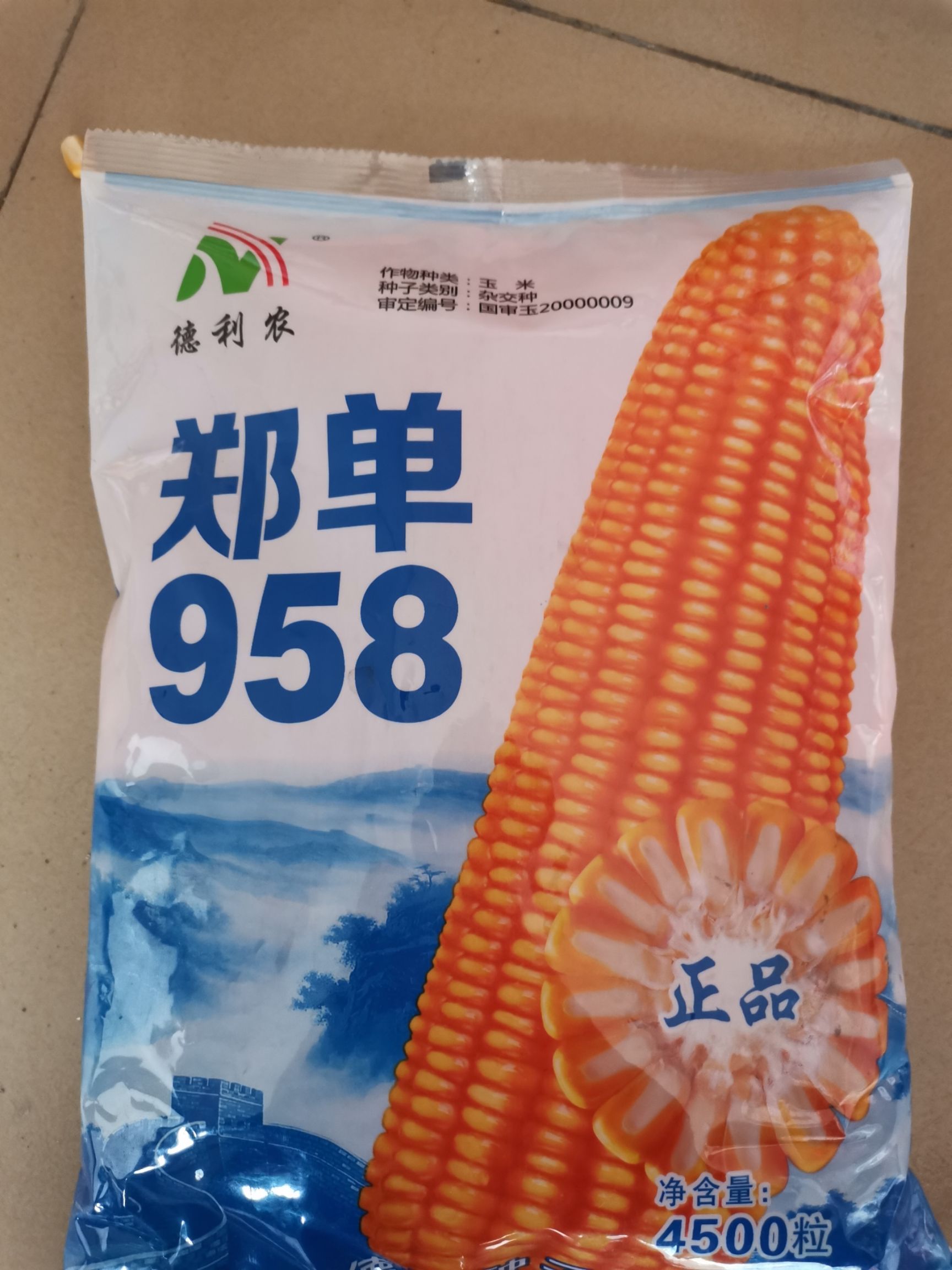 玉米种子 郑单958