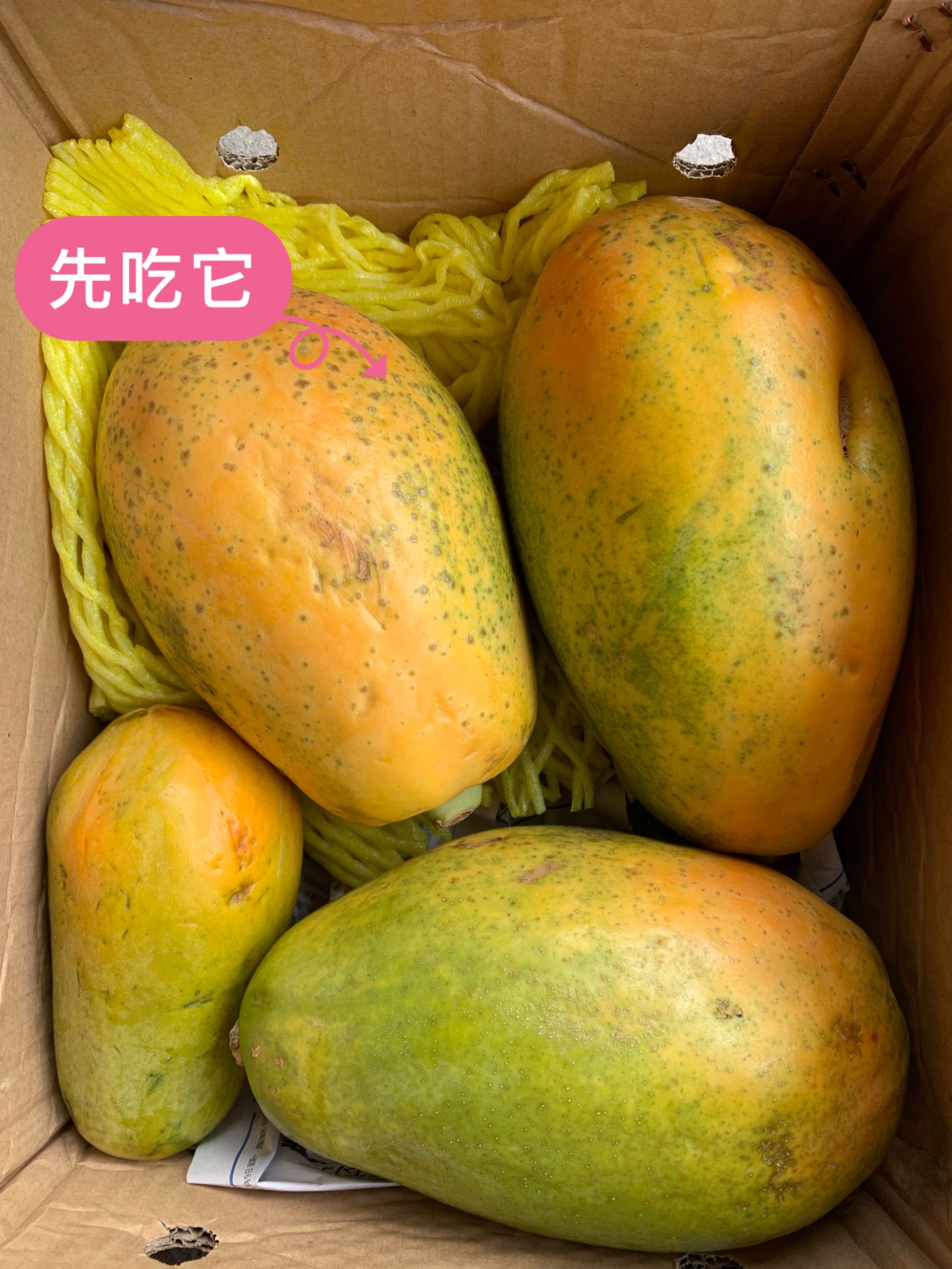 雷州木瓜