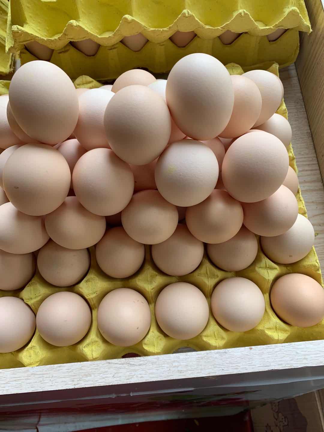 土鸡蛋 