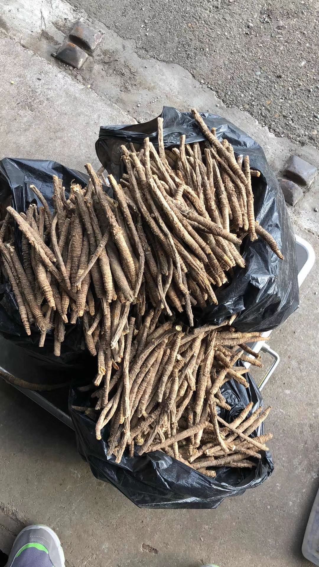 供应大厅  中药材  防风  收藏 分享