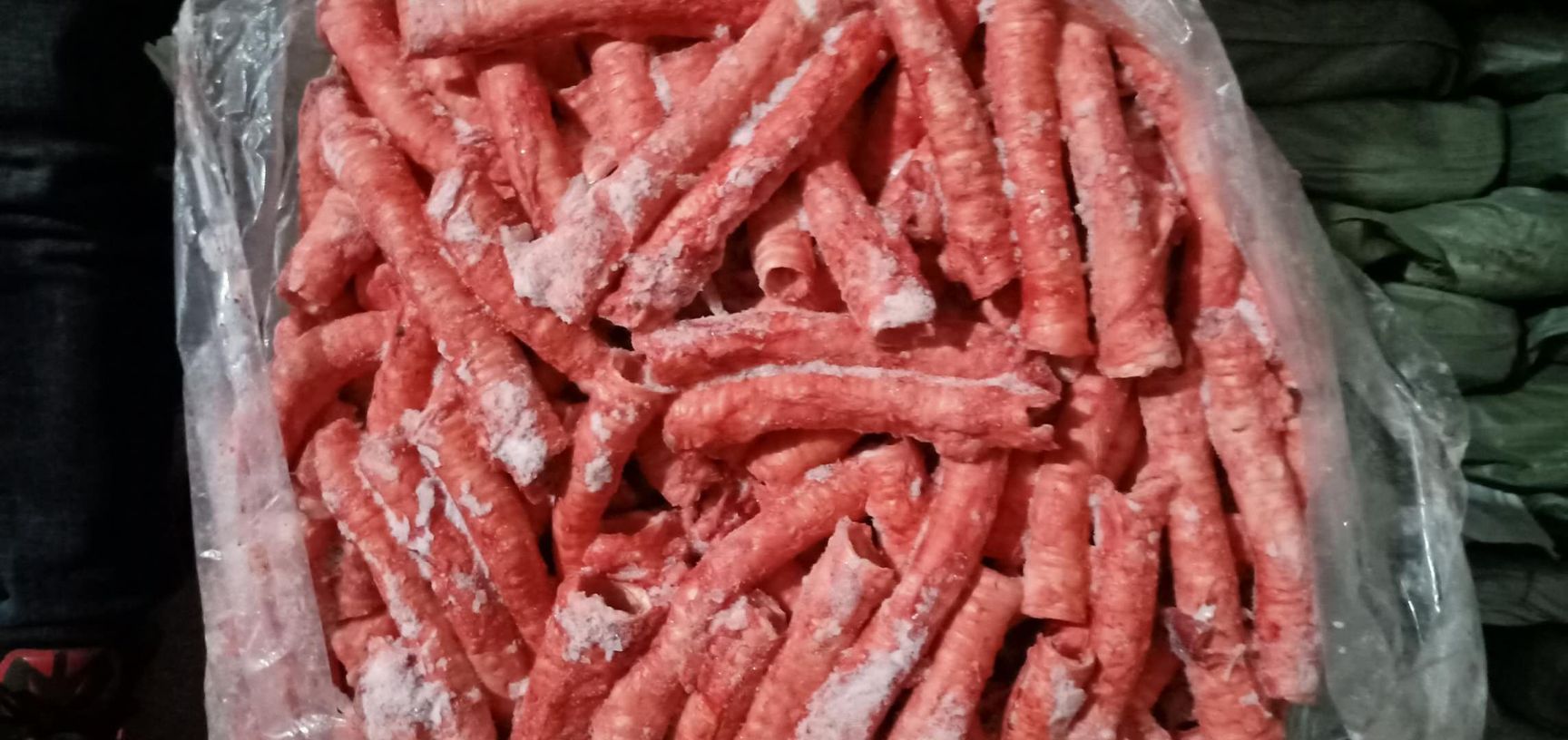 猪食管 器管
