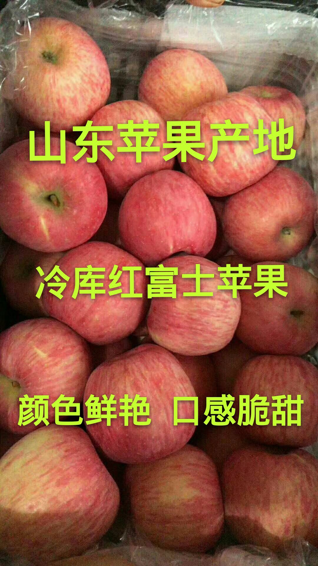 沂源红富士苹果产地批发