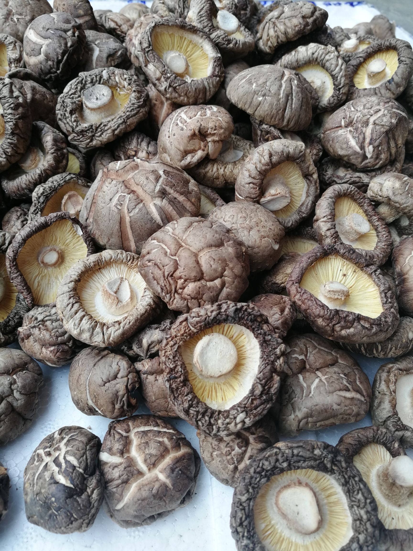 干香菇特级 麻花菇 陕西特产特级椴木麻花菇产地直供5斤包