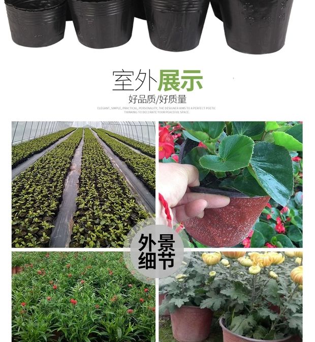 营养钵/营养杯 装土器,高效,省工时,易操作
