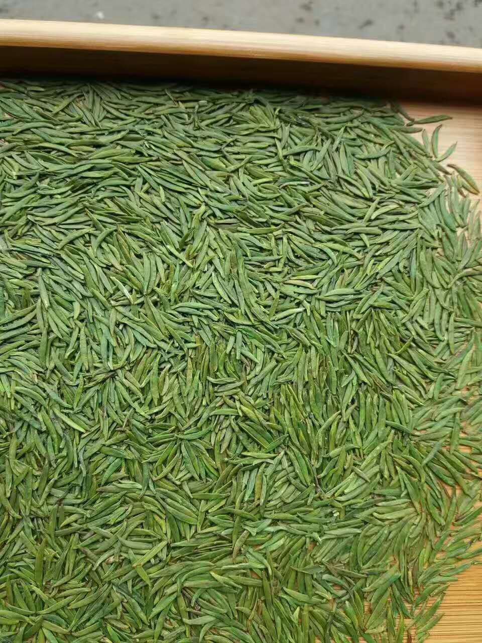 峨眉山高山绿茶竹叶青黄金茶