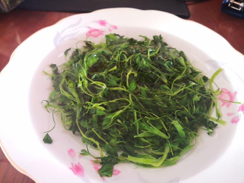 苜蓿芽 新货脱水野菜苜蓿,干货苜蓿,干菜苜蓿,非常嫩