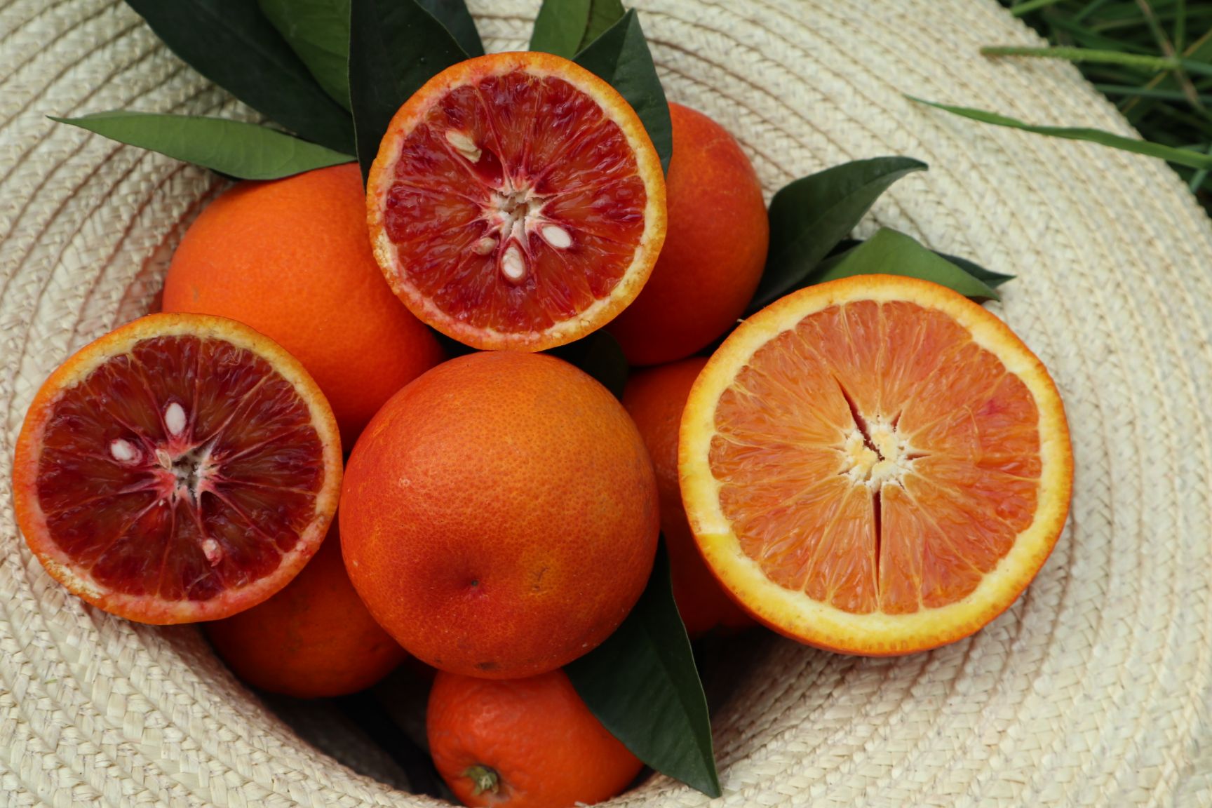 塔罗科血橙一款含花青素的橙子正宗奉节脐橙