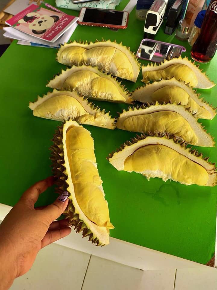 树上熟金枕榴莲
