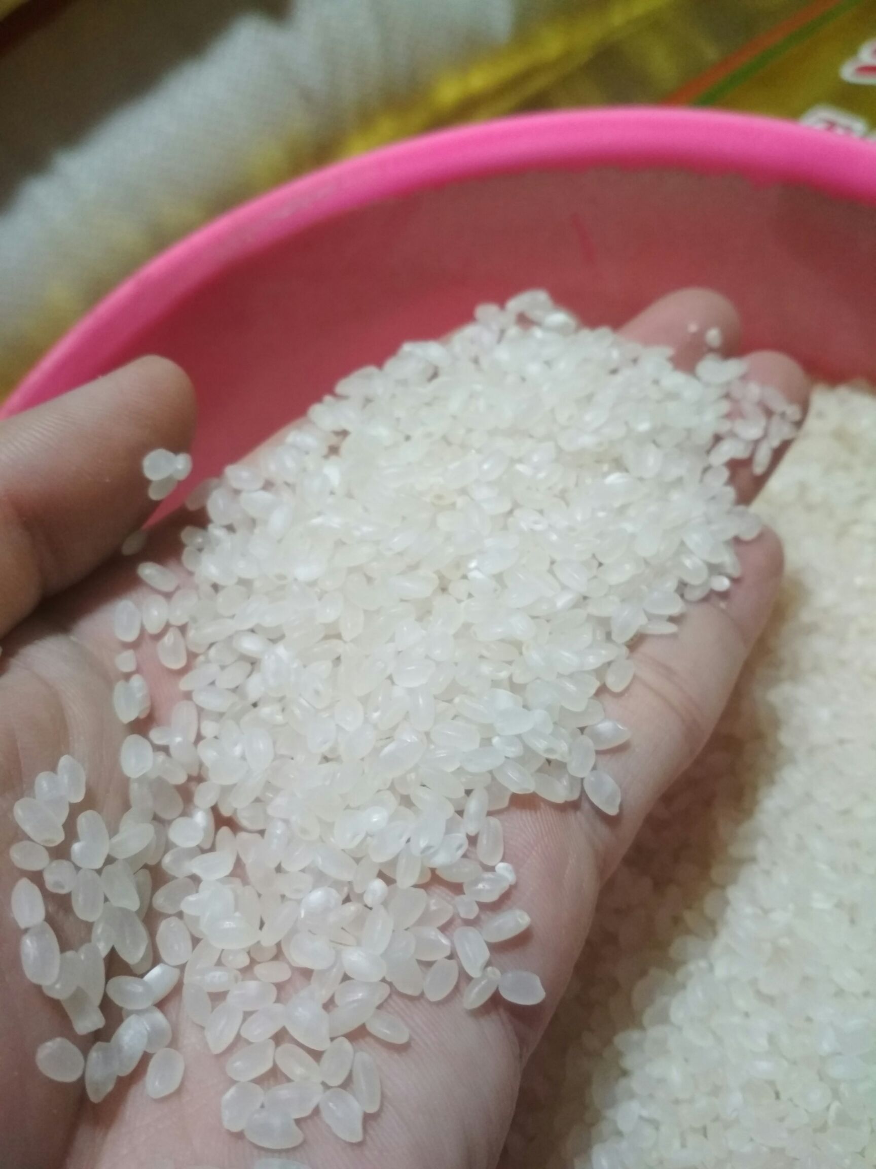 圆粒大米 圆粒米珍珠米