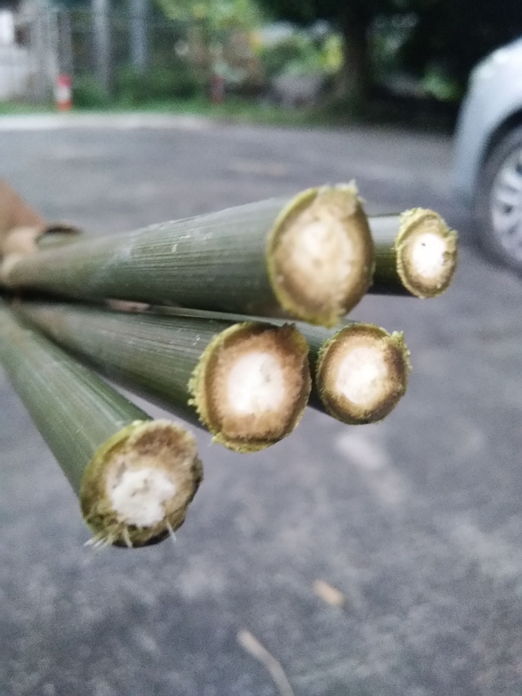 菜架竹实心厘竹