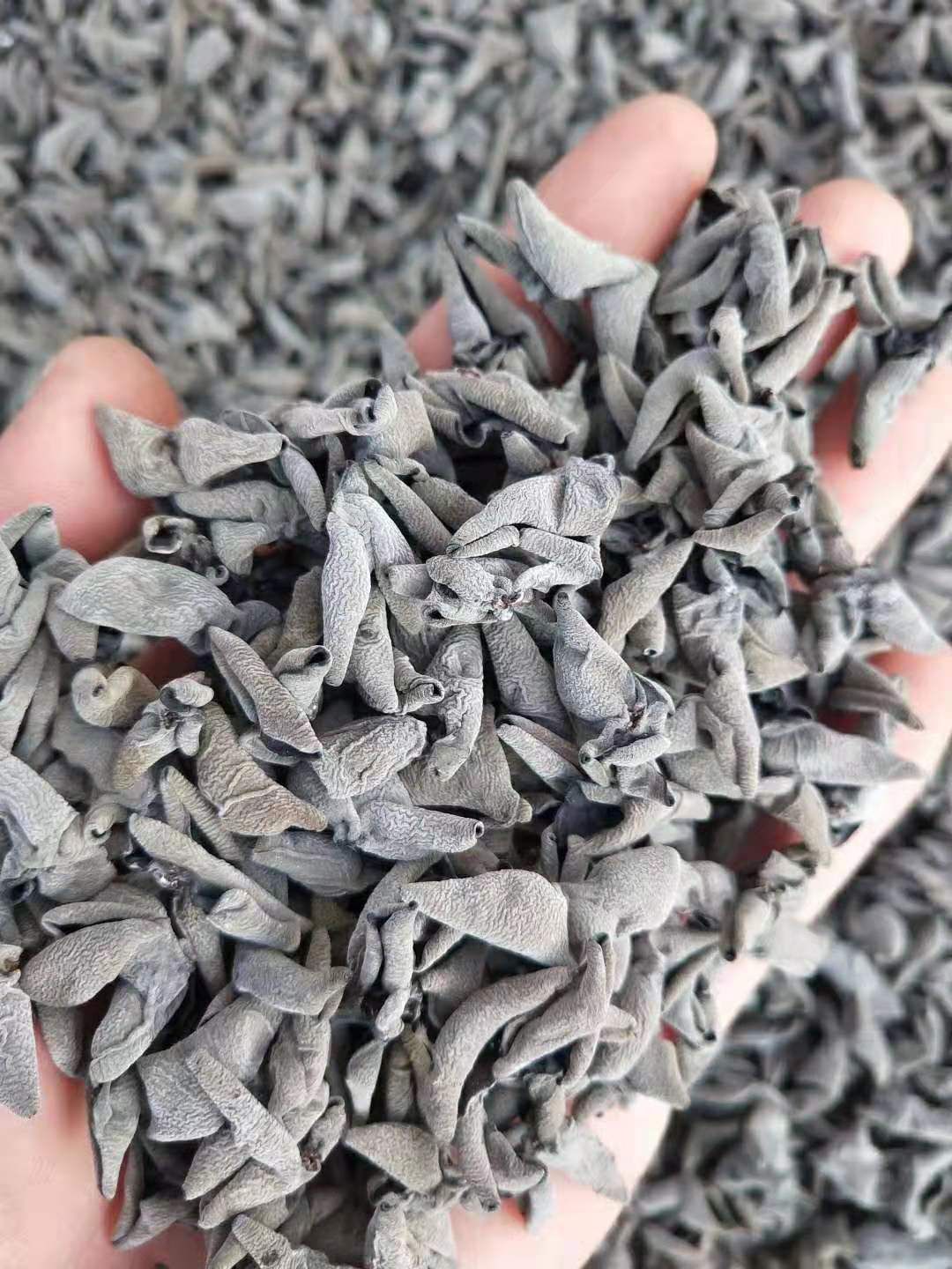 黑木耳 纯种东北黑山秋耳,大小1.2到1.