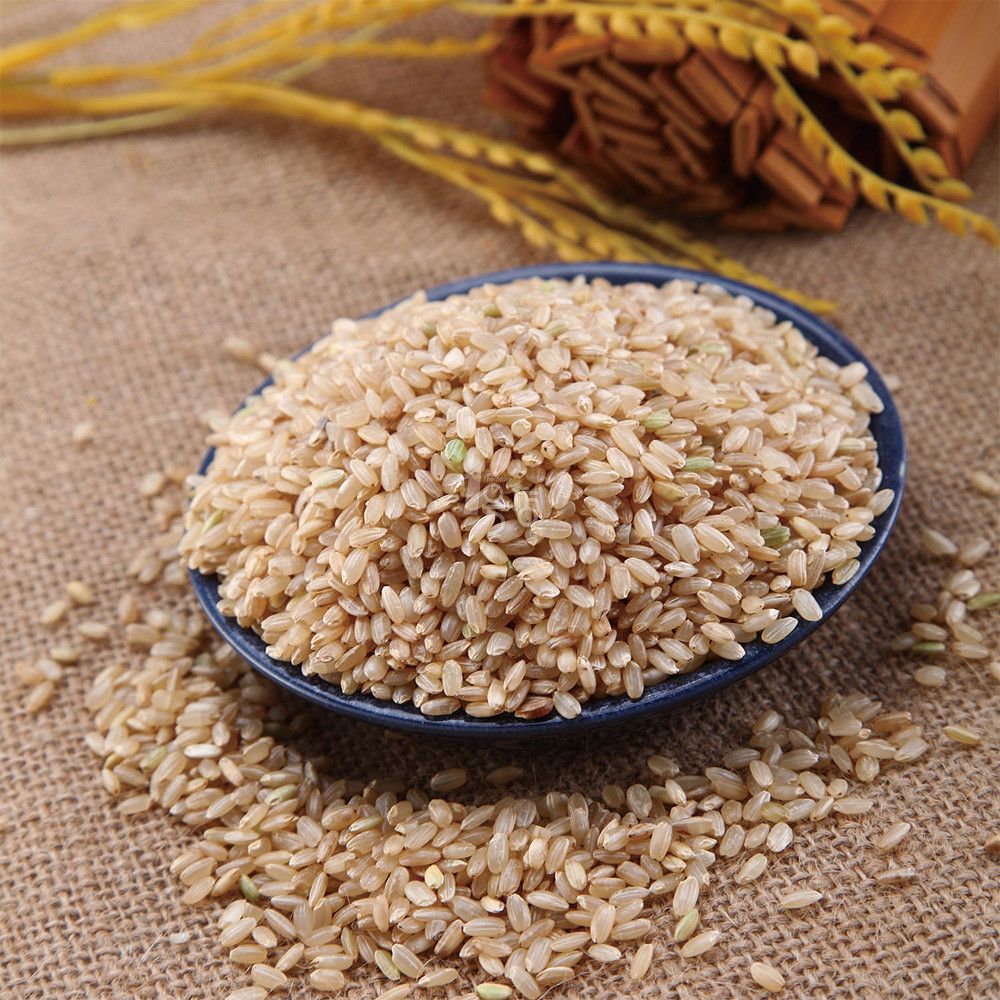 籼稻谷 农家 糙米 玄米 糙大米 胚芽米 粳米 黄糙米 五谷杂粮 批