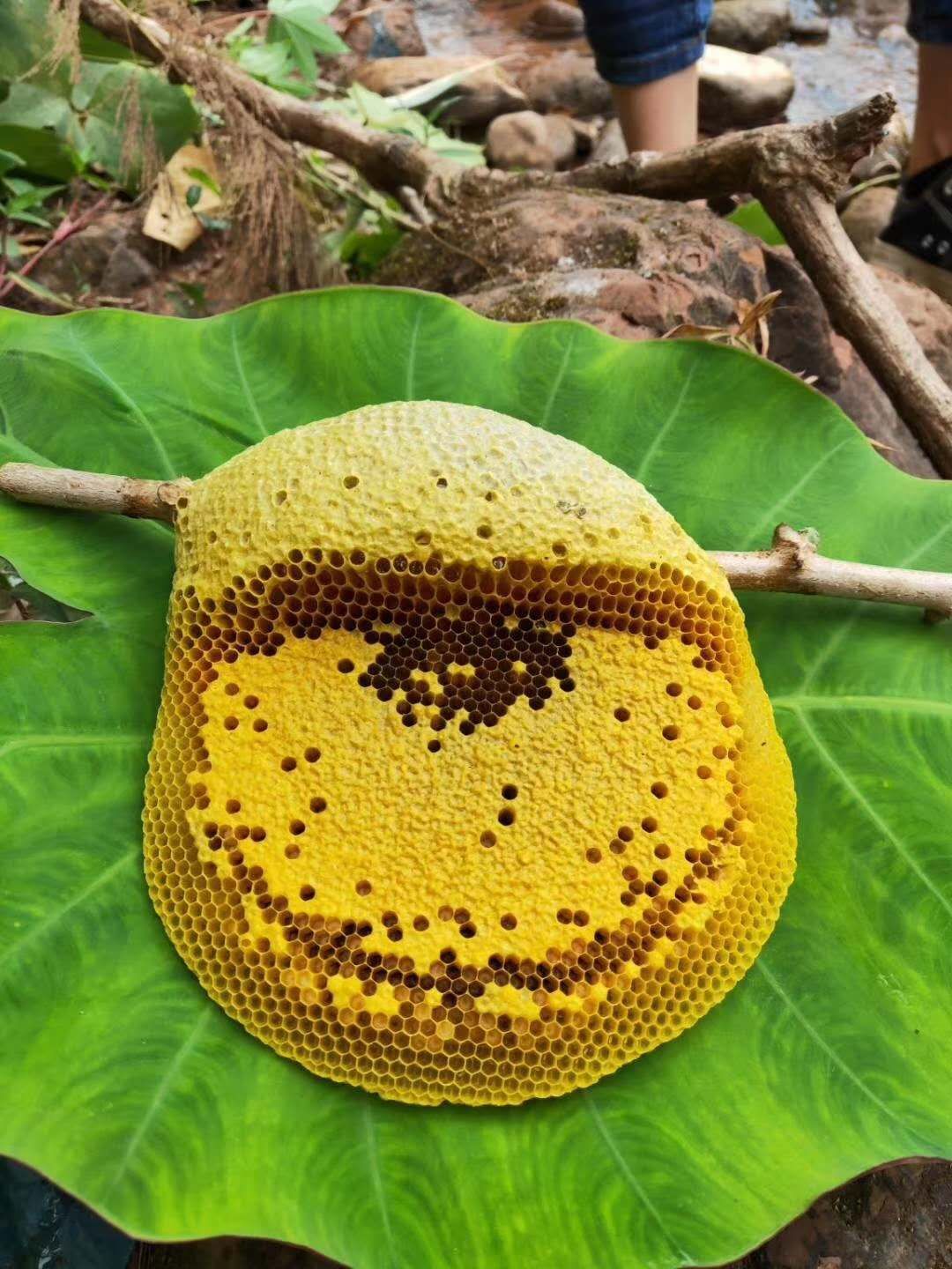 大挂蜂蜜,小挂蜂蜜,中蜂蜜!