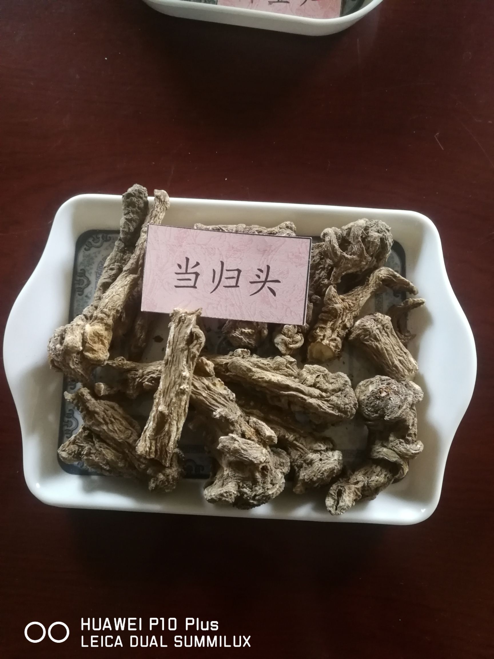 当归系列