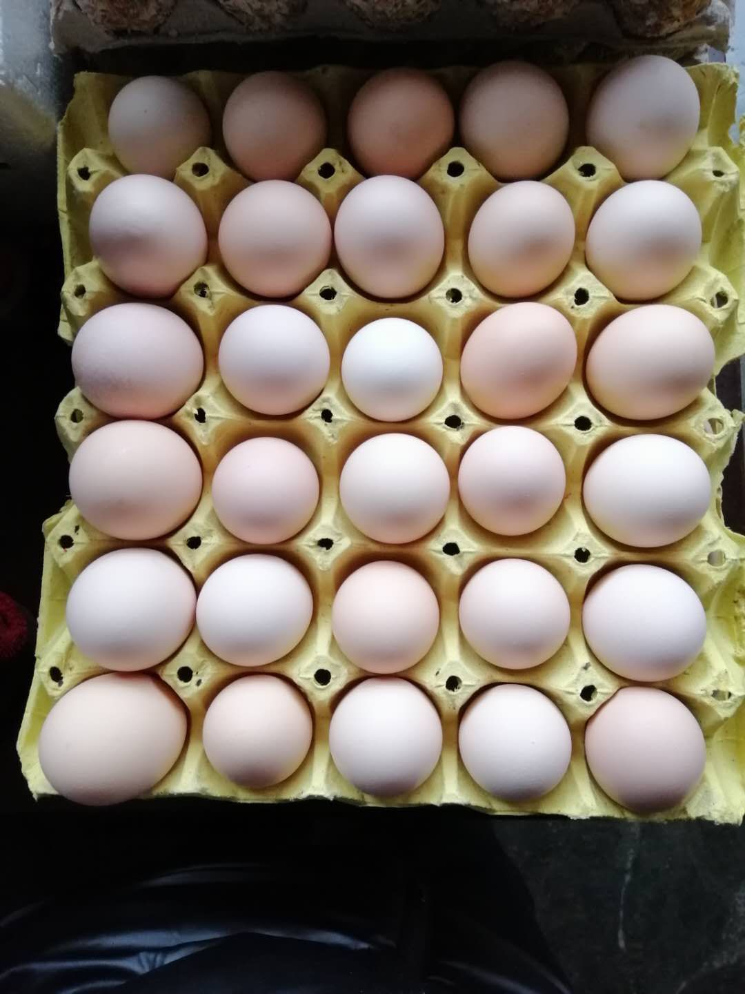 大量批发各类鸡蛋