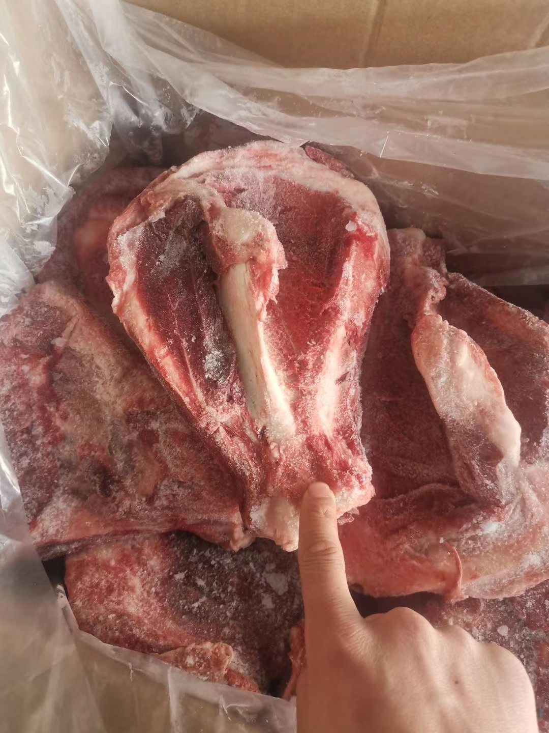 猪尾骨 厂供猪三叉骨,尾骨,板骨,质量不错新上市