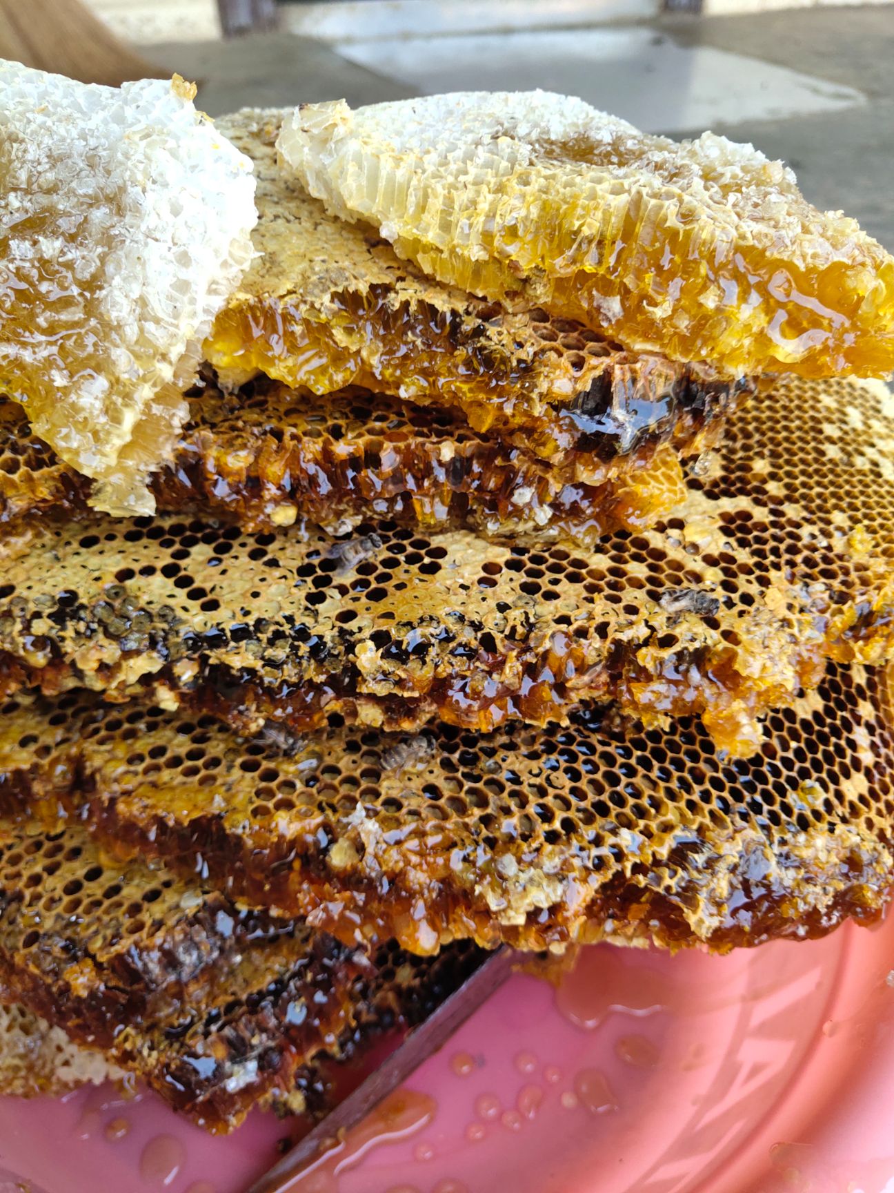 云南缅甸边界大山里的*蜂蜜正宗蜂蜜纯天然无加工