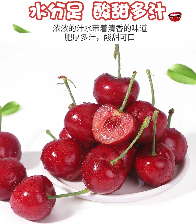 预售山东潍坊临朐大樱桃