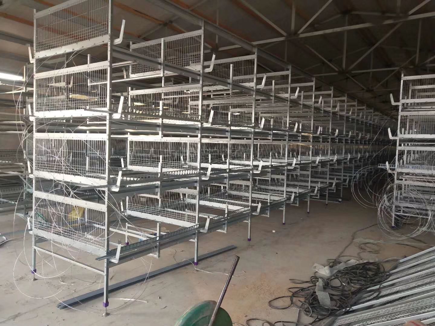 生产蛋鸡笼,育雏笼,肉鸡笼,设备自动化一体.