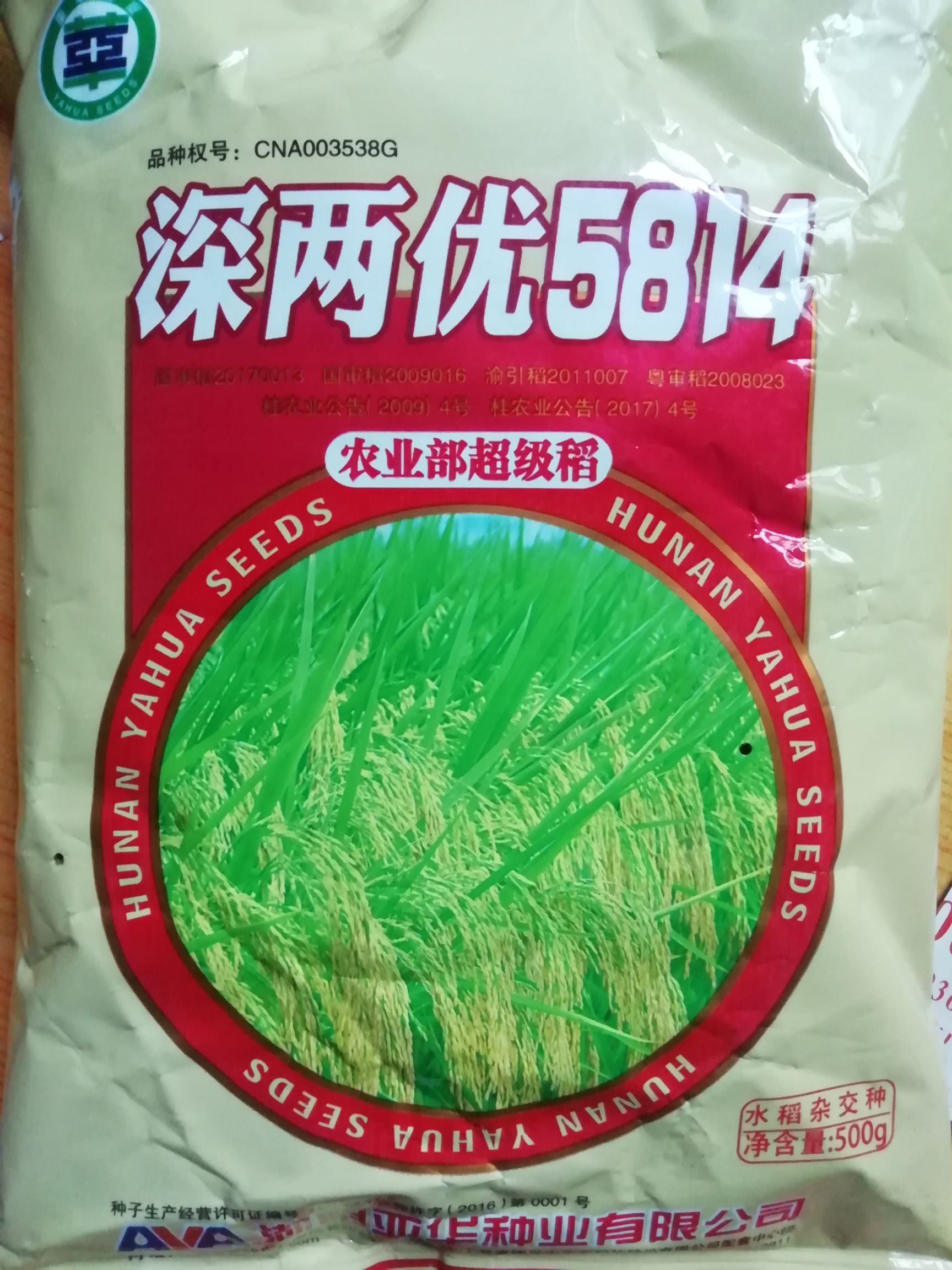 深两优5814杂交水稻种子