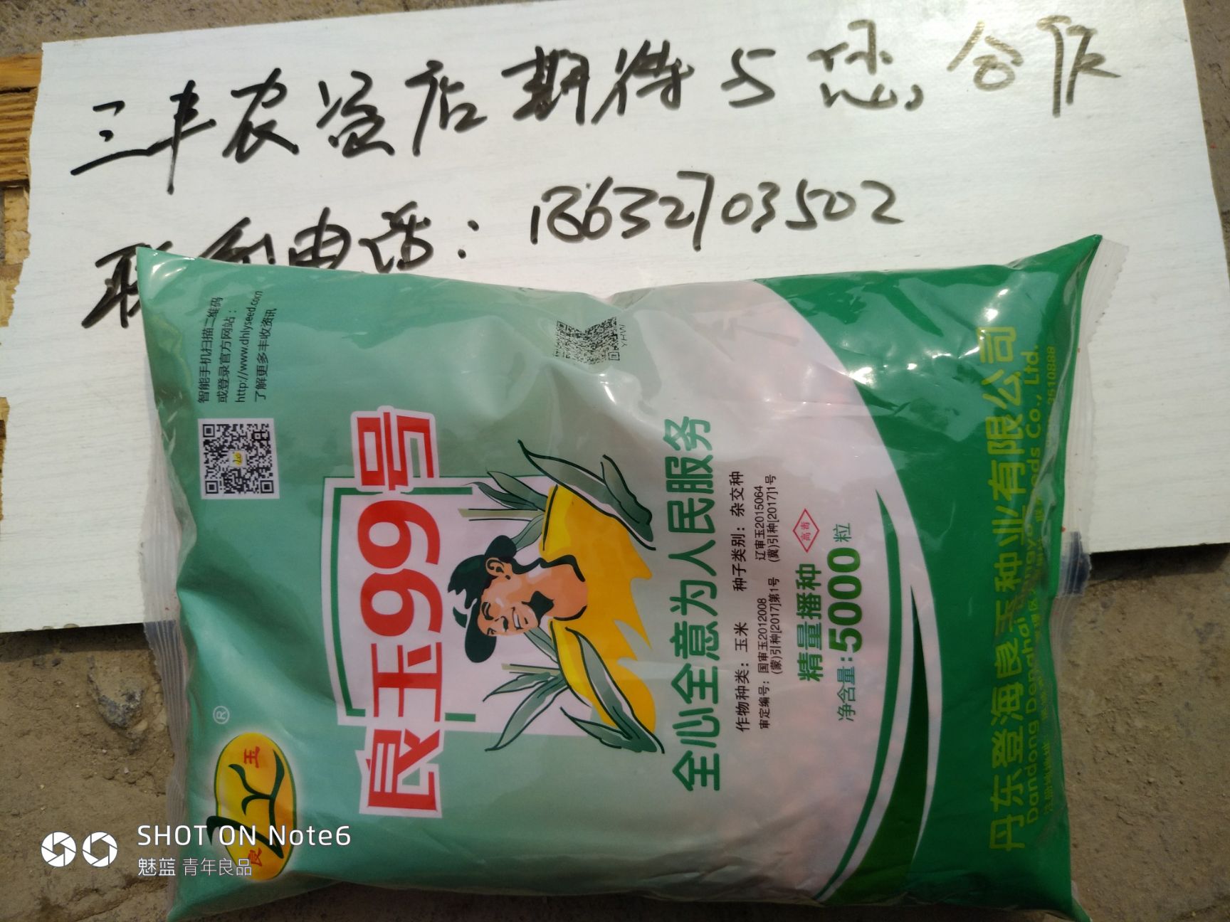 良玉99玉米种子 良玉99国审好品种! 综合抗性强 8级大风刮不倒