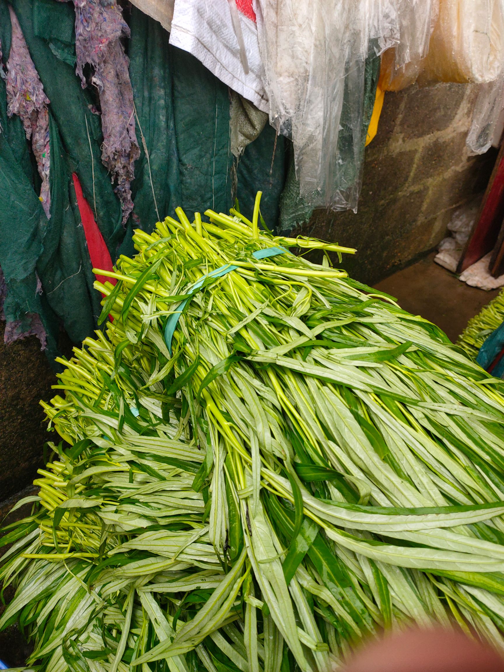 博白空心菜,香甜可口,美味佳肴