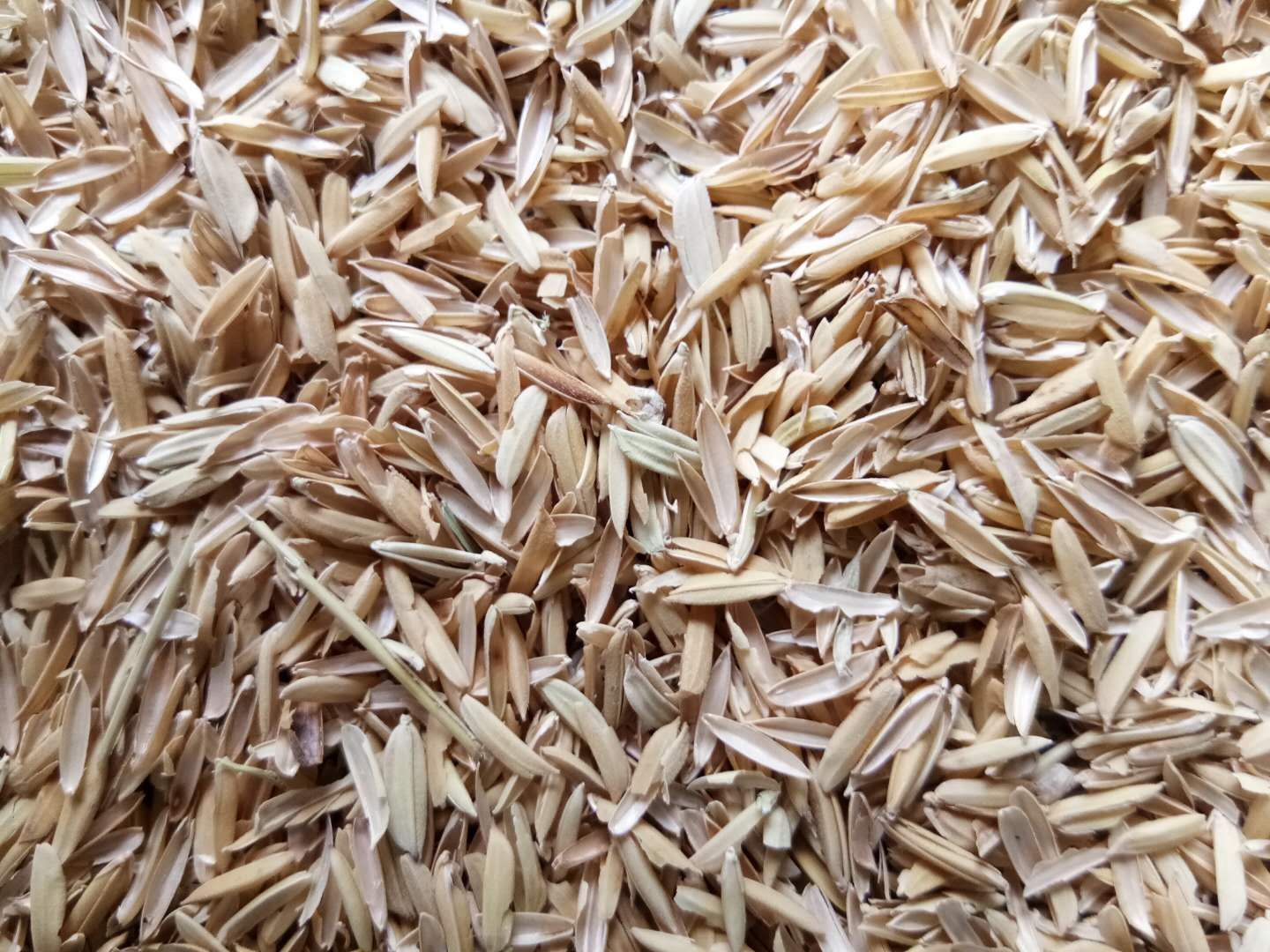 稻壳压缩稻壳除尘稻壳无霉变日产80吨