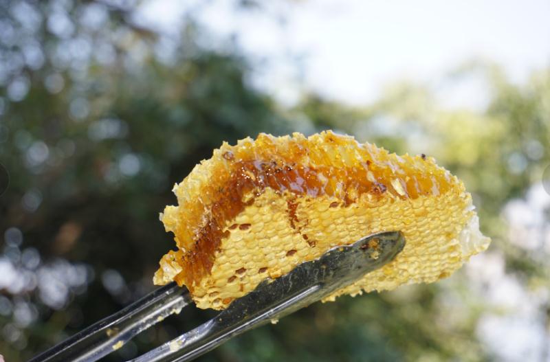 恩施土蜂蜜,百花蜜,高山药材蜜,一年仅取一次