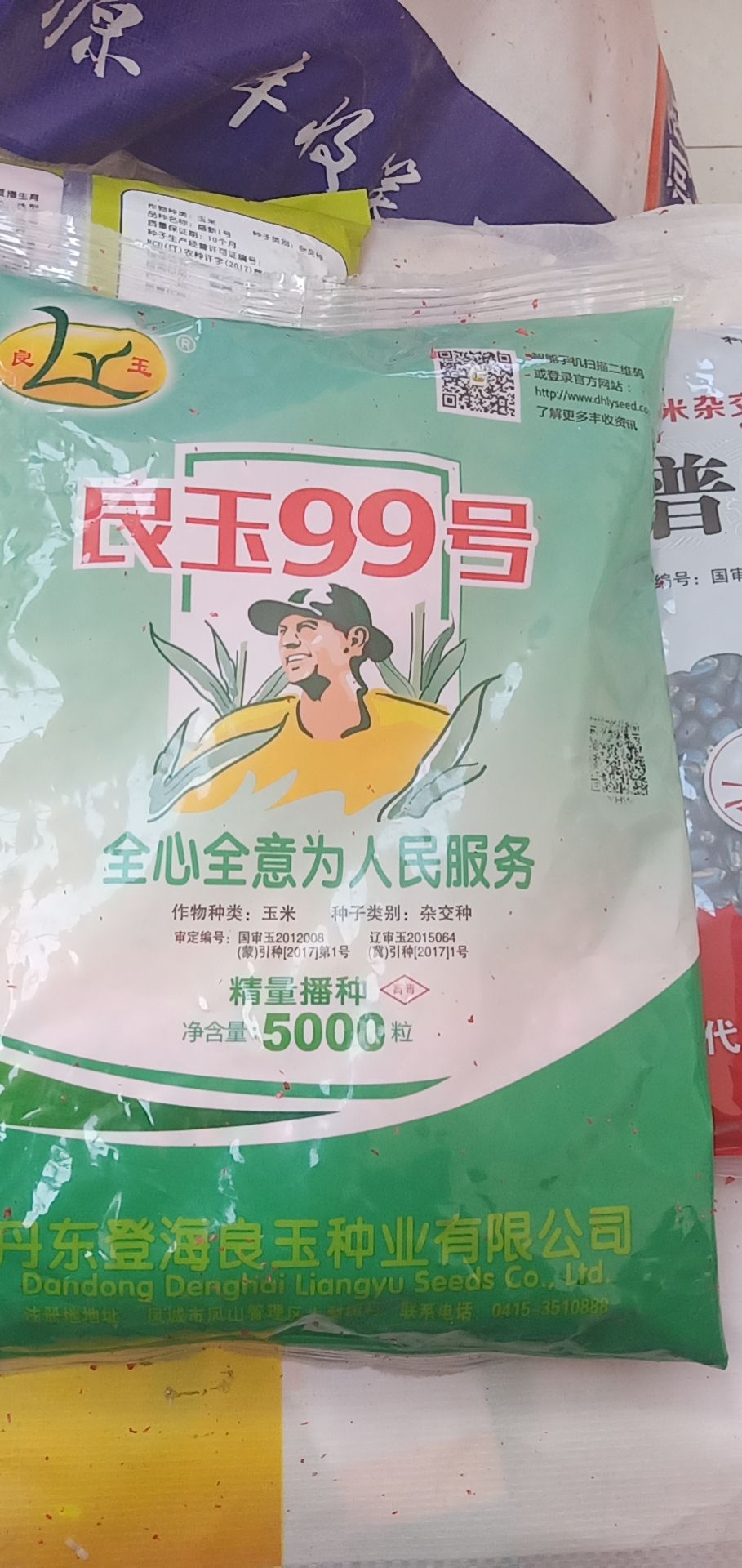 良玉99玉米种子  良玉99 八级大风刮不倒!