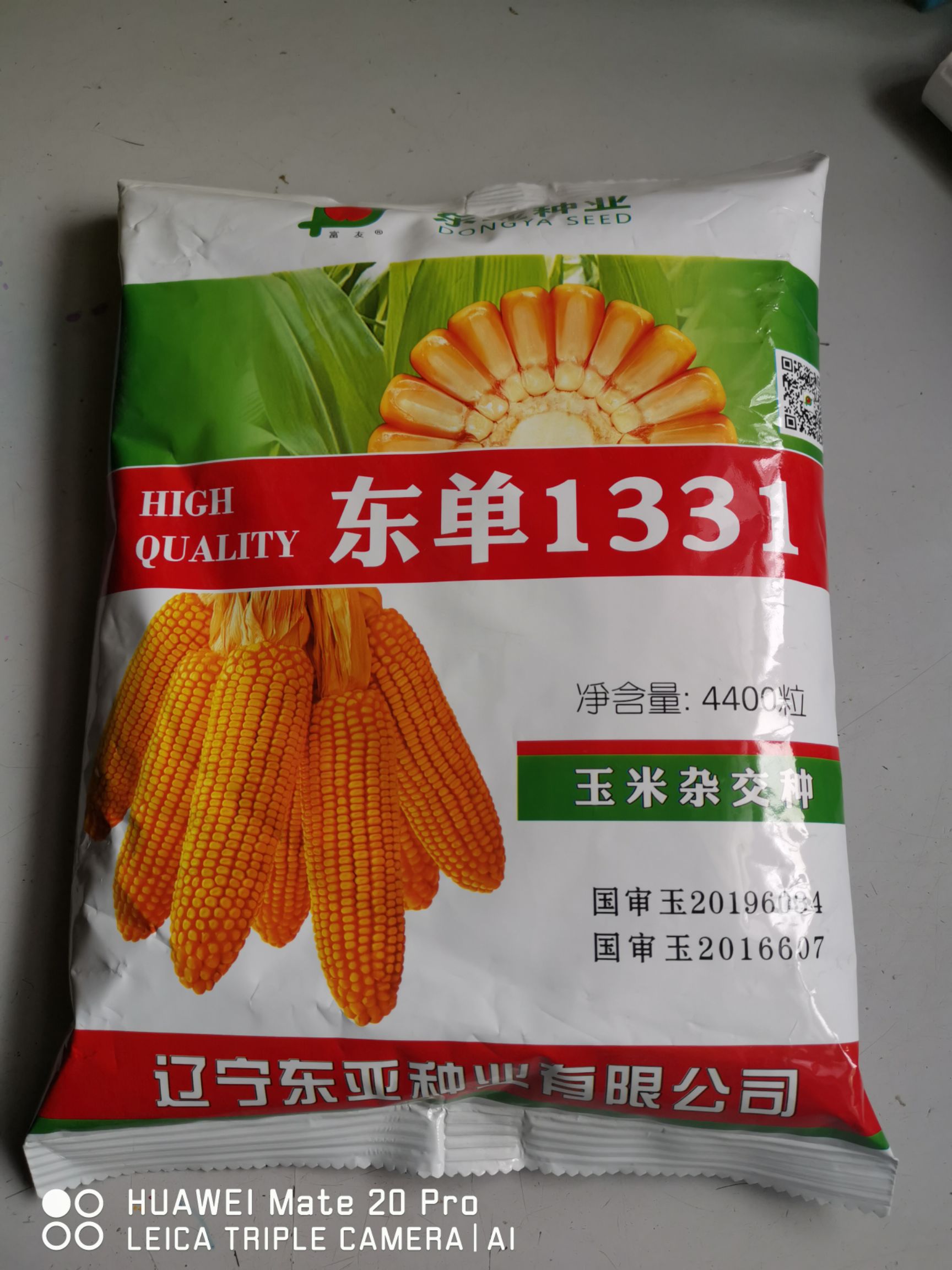 东单1331玉米种子 东单1331双国审玉米杂交高产品种