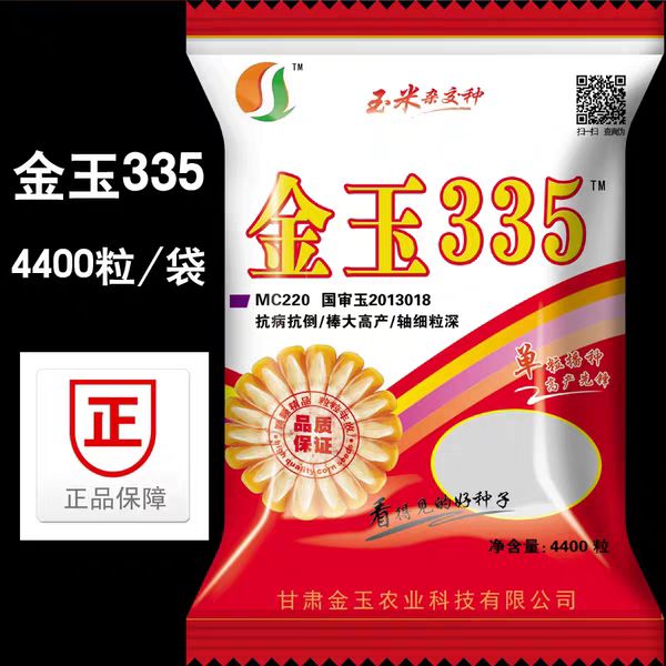 金玉335玉米种子高产丰产玉米良种