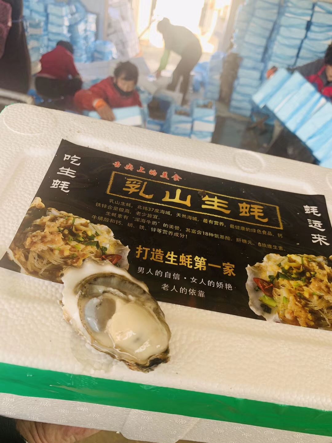 乳山牡蛎生蚝批发承接各种规格打小箱
